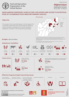 Afghanistan | Safeguarding emergency agriculture livelihoods and access to nutritious food